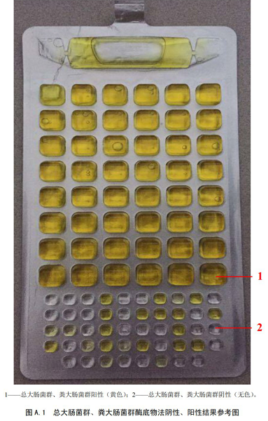 總大腸菌群、糞大腸菌群酶底物法陰性、陽性結(jié)果參考圖