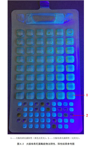 大腸埃希氏菌酶底物法陰性、陽性結(jié)果參考圖